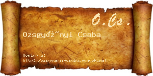 Ozsgyányi Csaba névjegykártya